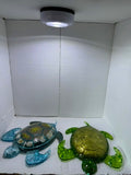 Resin Turtles