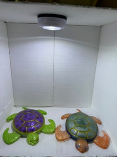 Resin Turtles