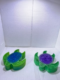 Hawaiian Turtles