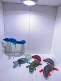 Iguanas