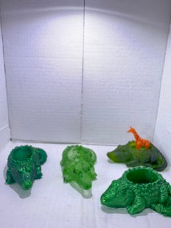 Alligator Succulent Planters