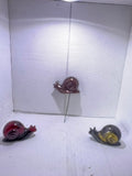Snail