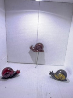Snail