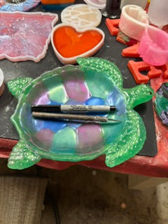 Large Turtle Organizer