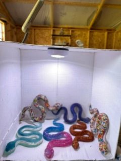 Snakes - 3-D Casting and Candles